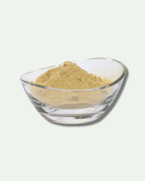 Organic Aloe Vera Powder